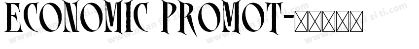 ECONOMIC PROMOT字体转换